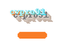 cvpro91 logo
